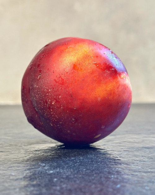 NECTARINE JAUNE GROSSE